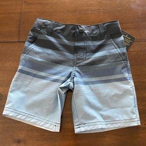Boys Ombre Striped Hybrid Swim Trunks- Ebony Crown